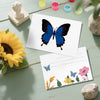 Postales - Mariposas