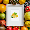 Mini Diamantes - Frutas