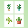 Mini Diamantes - Plantas