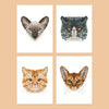 Mini Diamantes - Gatitos