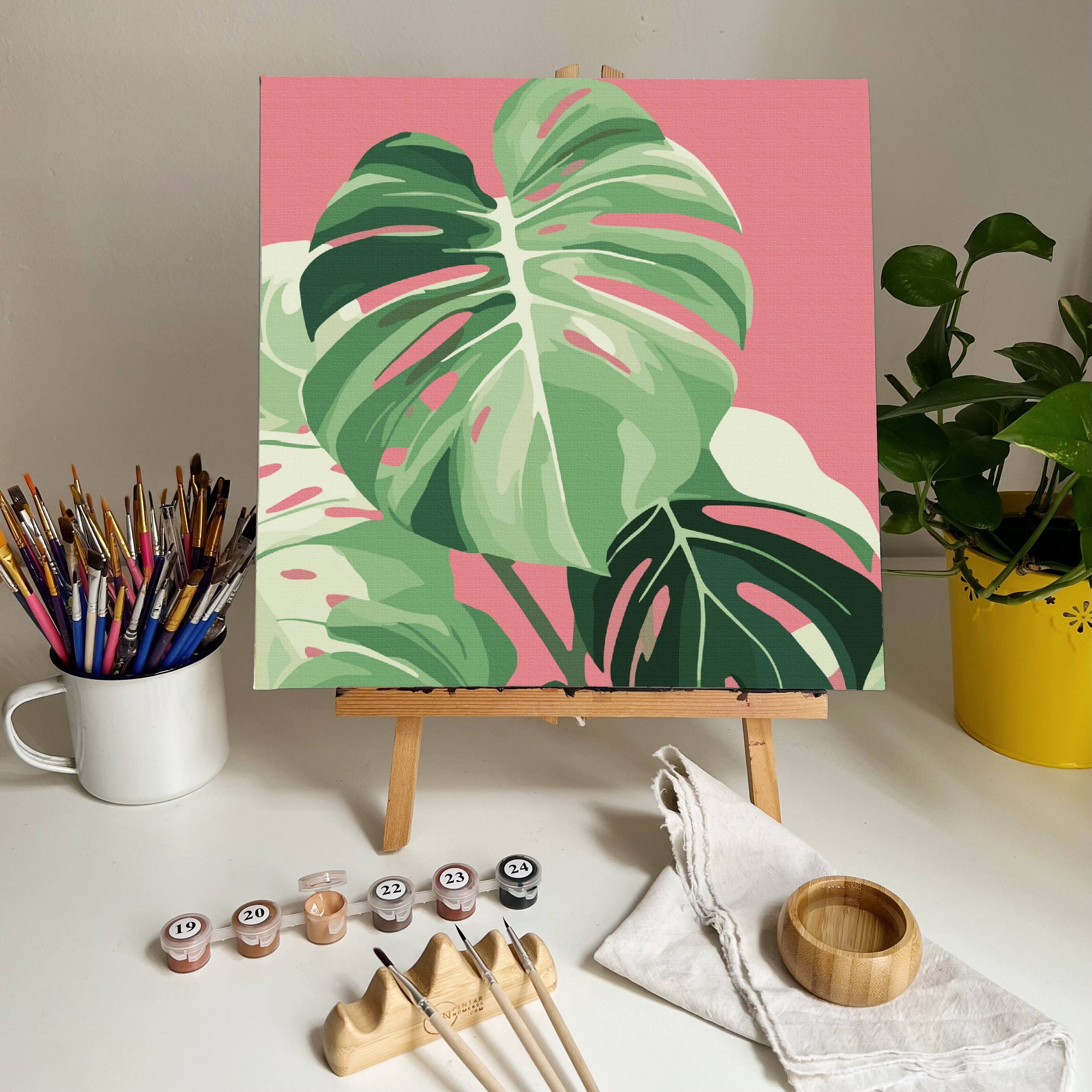 Monstrera -  Pintar Números®