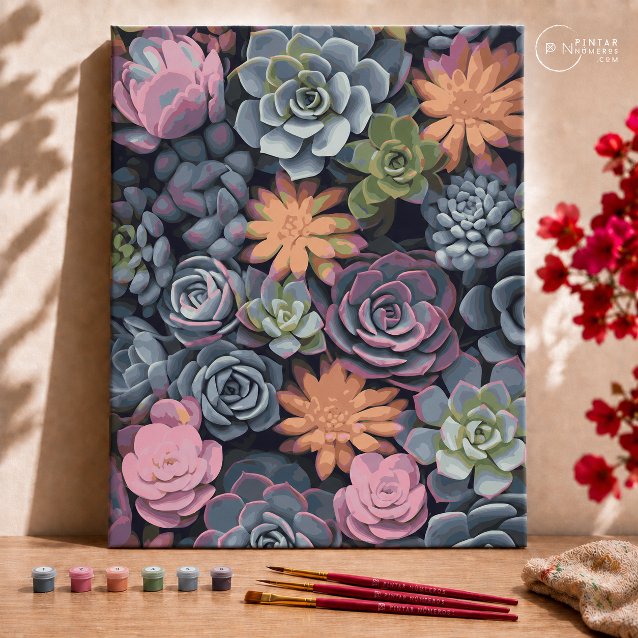 Cactus de Colores -  Pintar Números