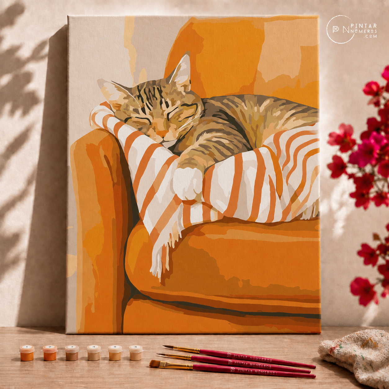 Gato dormilón - Pintar Números®