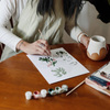 Peonias - Láminas Pintar Números