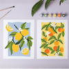 Cítricos - Láminas Pintar Números