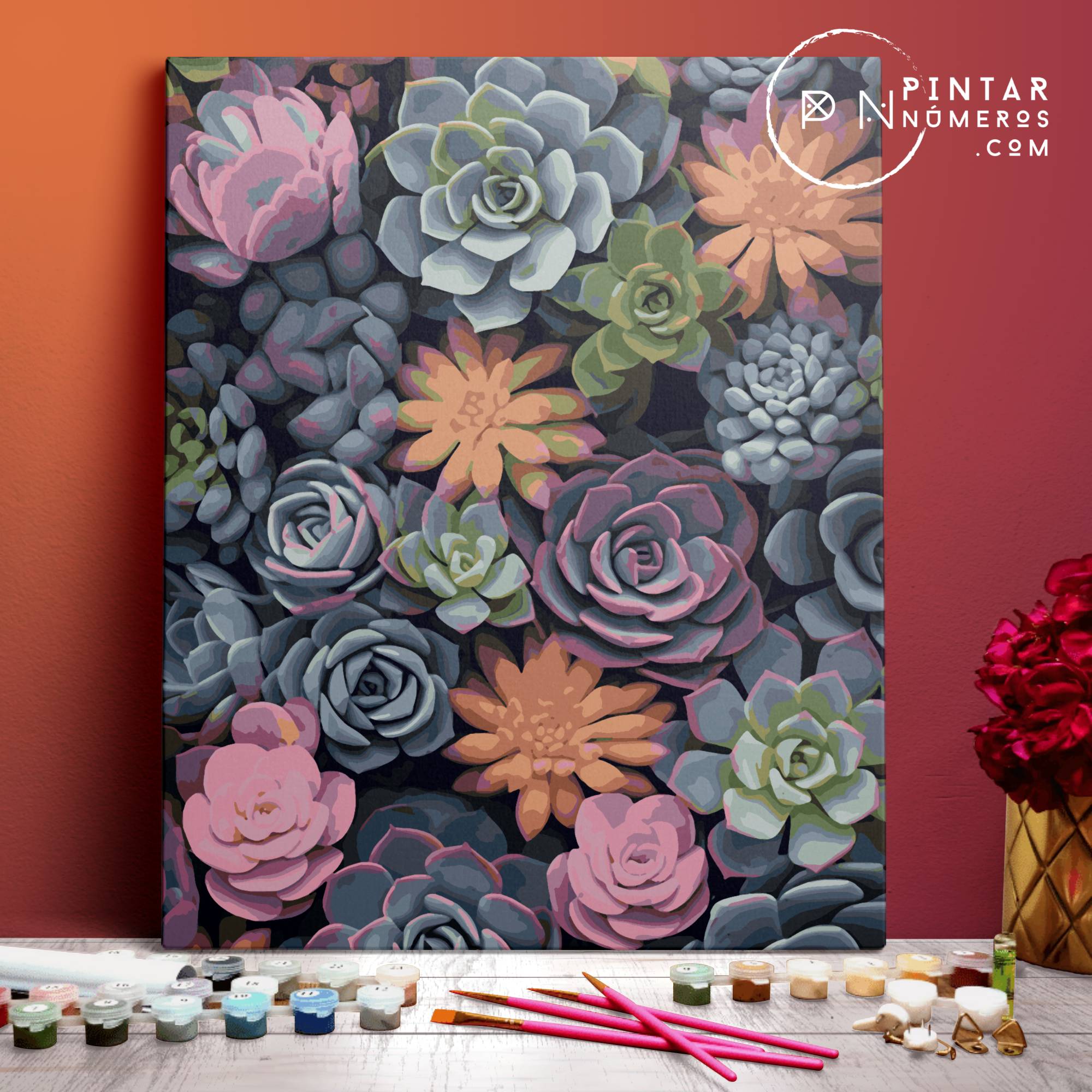 Cactus de Colores -  Pintar Números