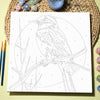 Pajaro en rama -  Pintar Números®