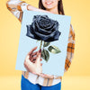 Rosa negra - Pintar Números®